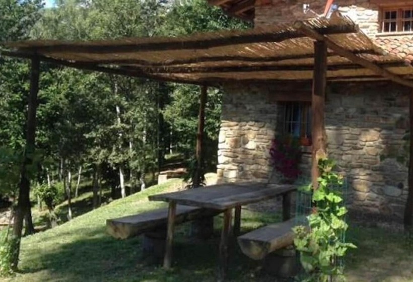 乡村酒店 Agriturismo L'arbo