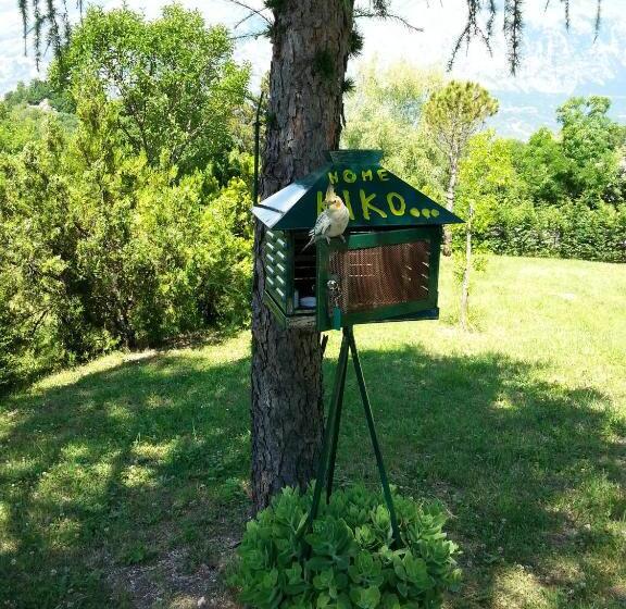 Сельский отель Agriturismo Persichitti