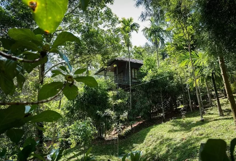 Hotelli The Woods Resorts Wayanad