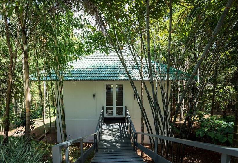 בית מלון כפרי The Woods Resorts Wayanad