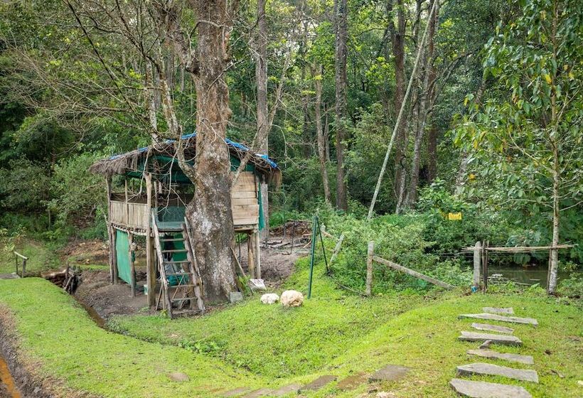 בית מלון כפרי The Woods Resorts Wayanad