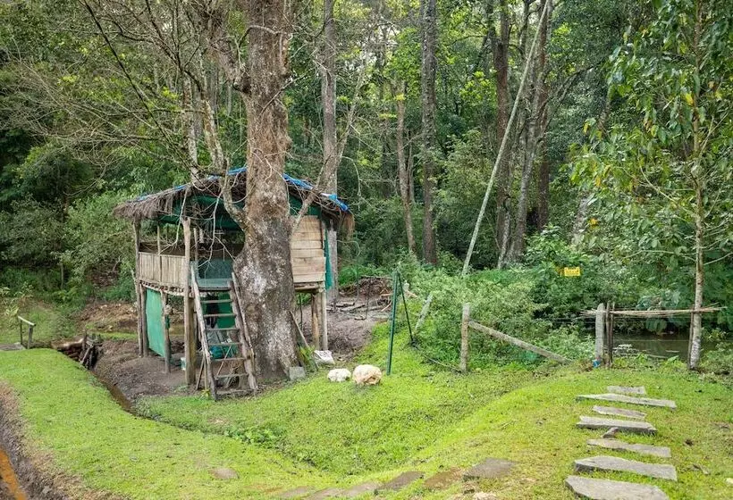 Hotelli The Woods Resorts Wayanad