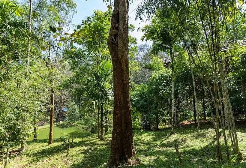 Hotelli The Woods Resorts Wayanad