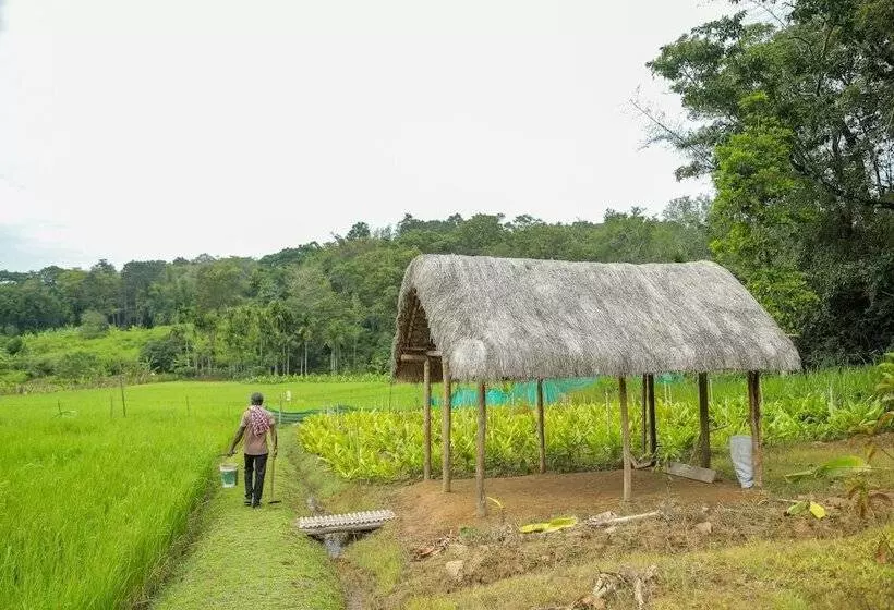 Hotelli The Woods Resorts Wayanad