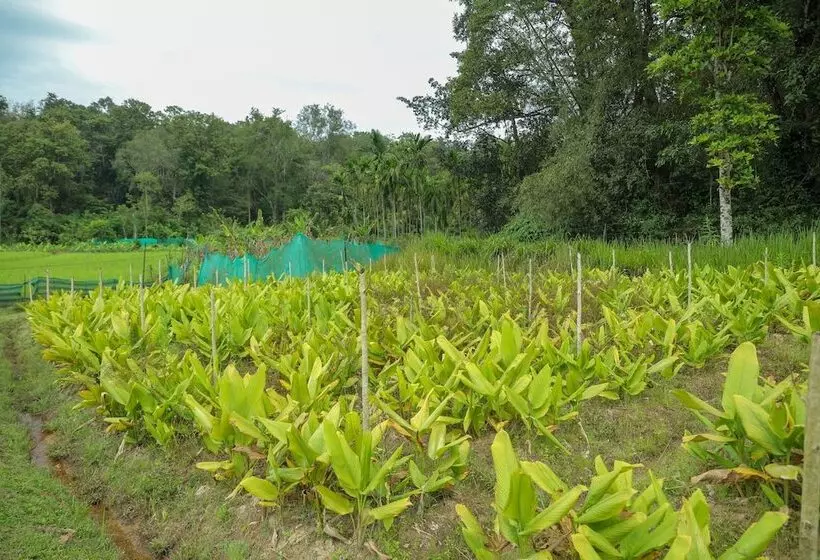 Hotelli The Woods Resorts Wayanad