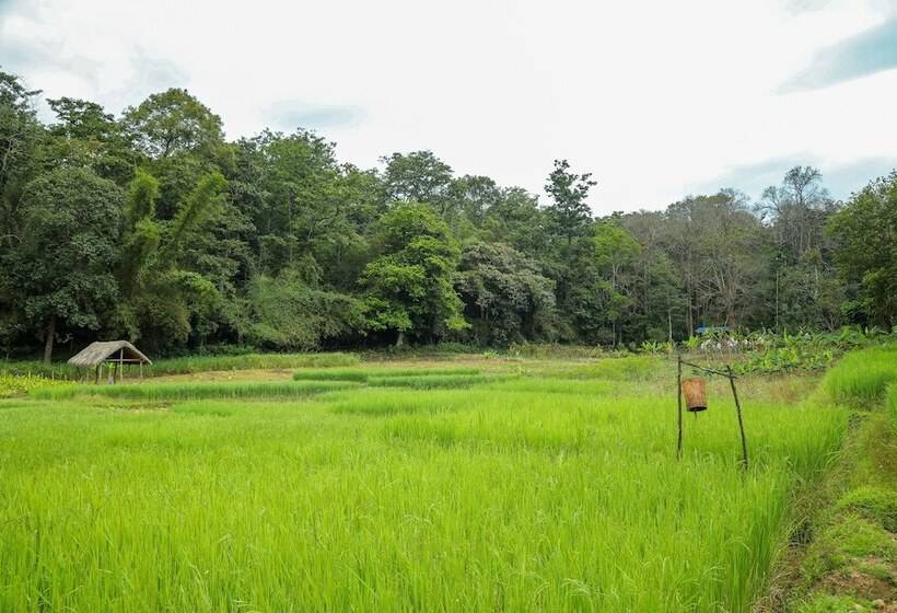 בית מלון כפרי The Woods Resorts Wayanad