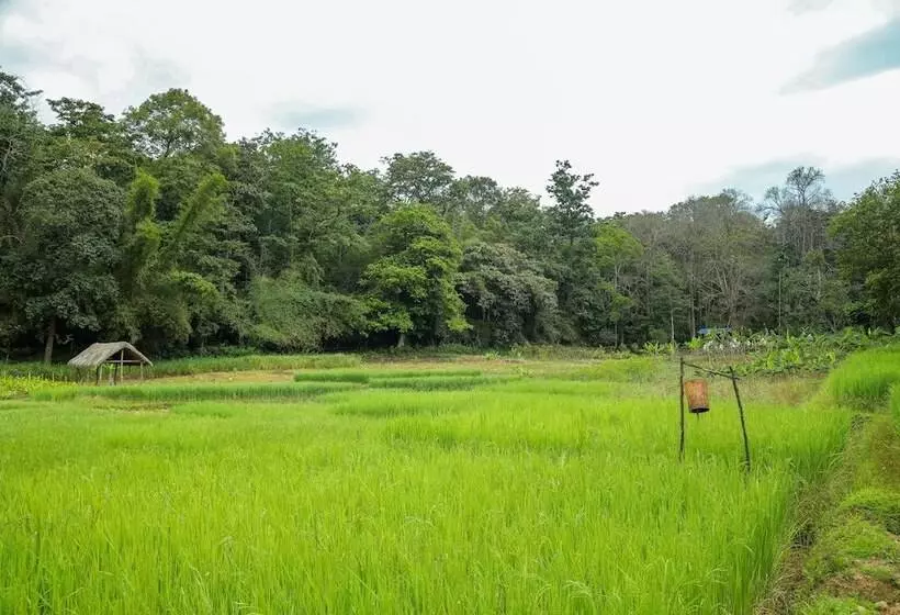 Hotelli The Woods Resorts Wayanad