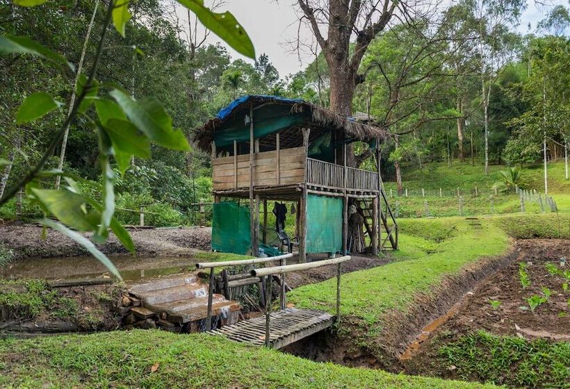 בית מלון כפרי The Woods Resorts Wayanad