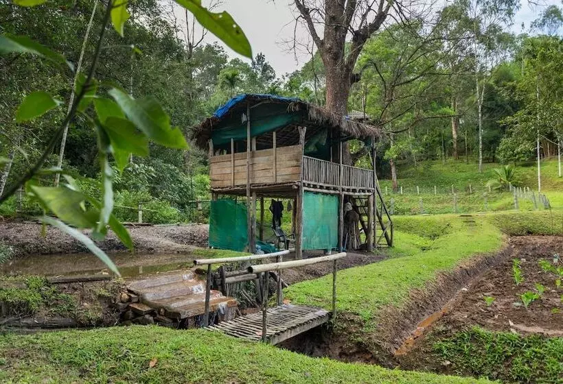 Hotelli The Woods Resorts Wayanad