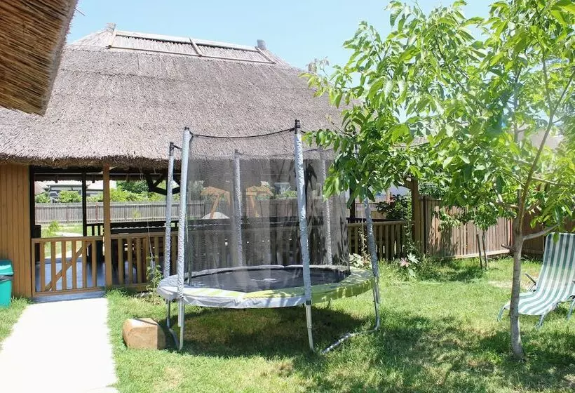 پانسیون Cerdacul Cu Stuf