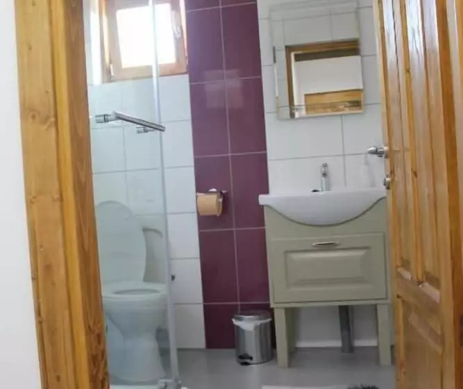 پانسیون Cerdacul Cu Stuf