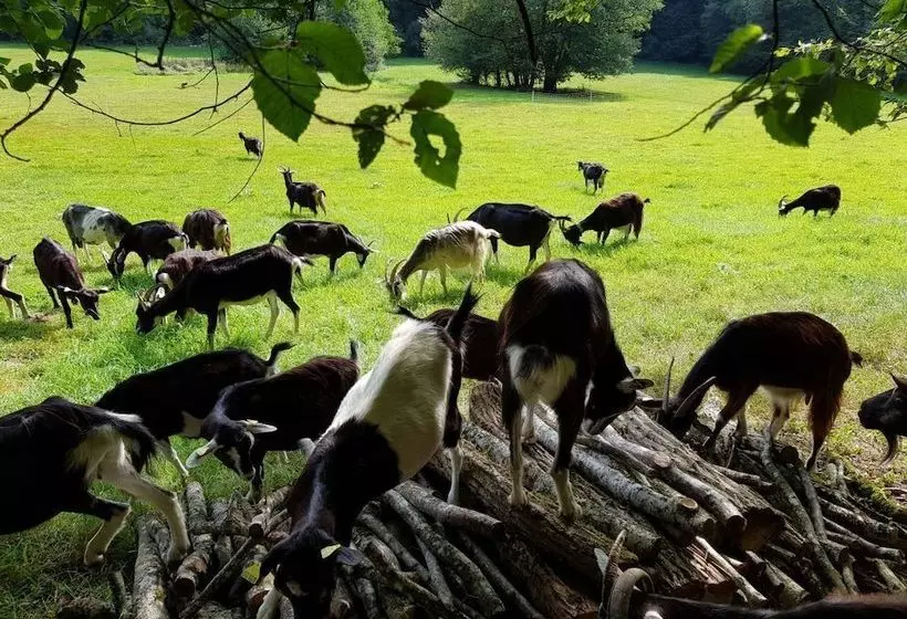 Majatalo Les Roulottes à La Ferme Du Magnyrobert