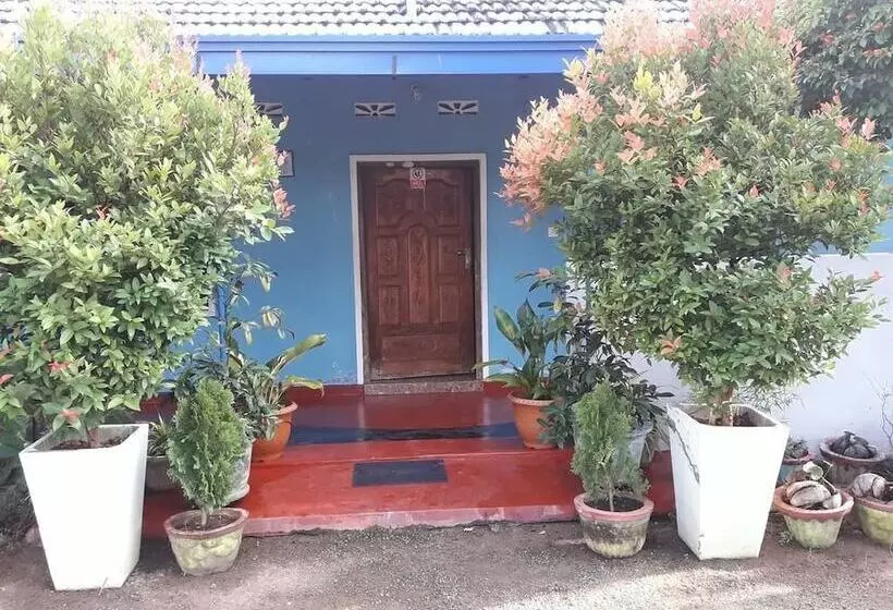 ペンション Simla Inn Tourist Guest House