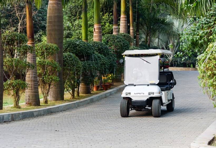 The Greenwood Resort, Guwahati