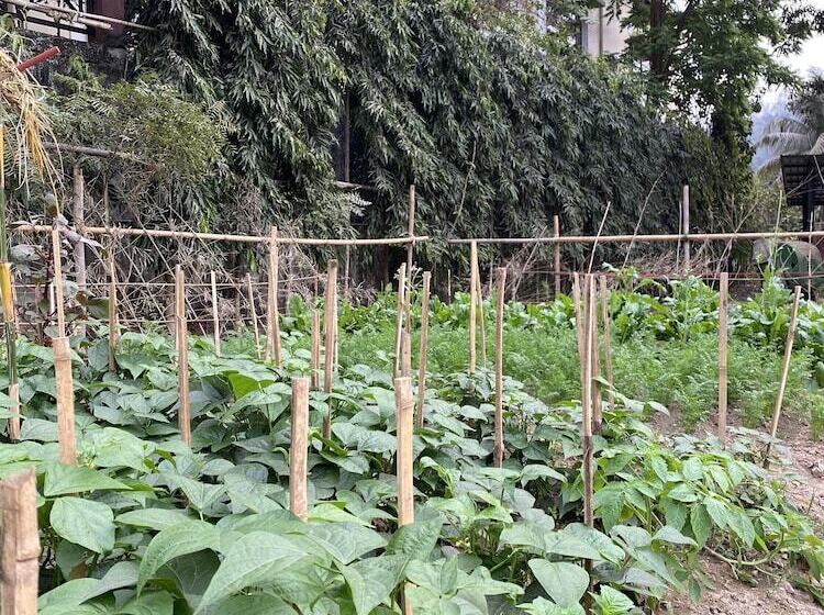 The Greenwood Resort, Guwahati