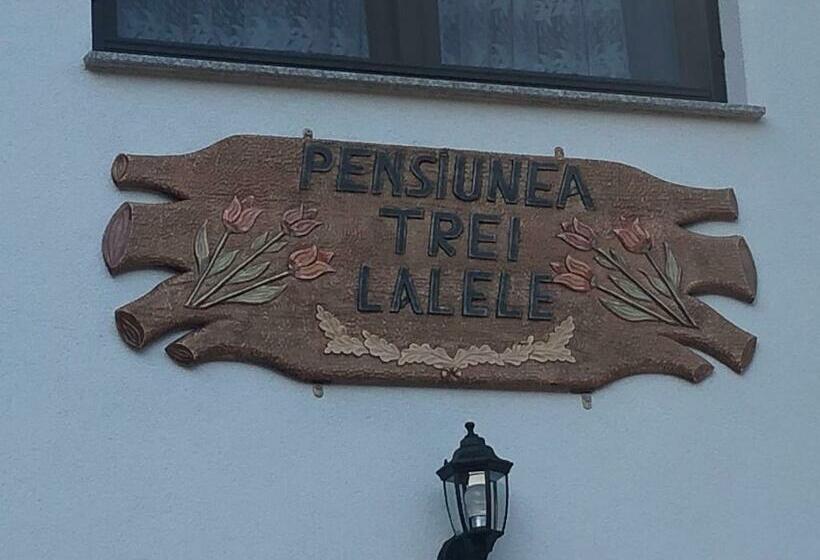 هتل Pensiunea Trei Lalele