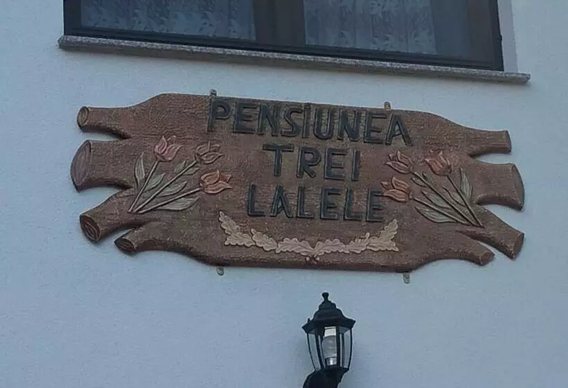 هتل Pensiunea Trei Lalele