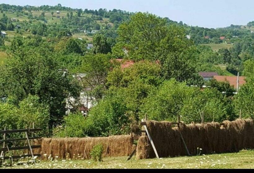 هتل Pensiunea Trei Lalele