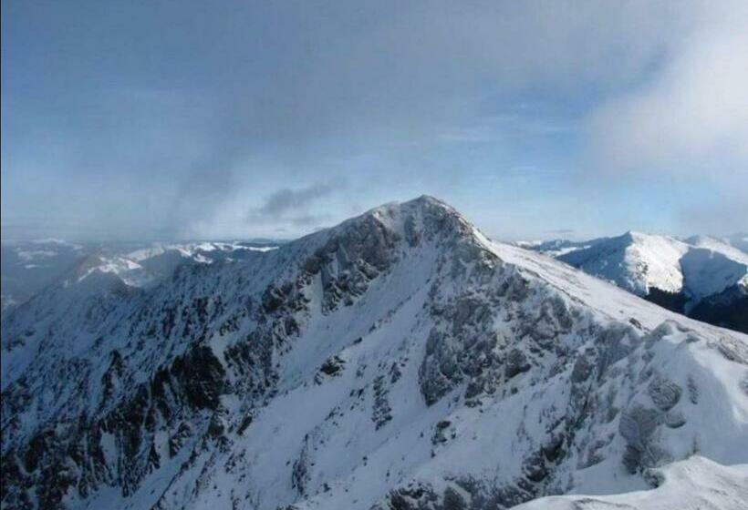 هتل Pensiunea Trei Lalele