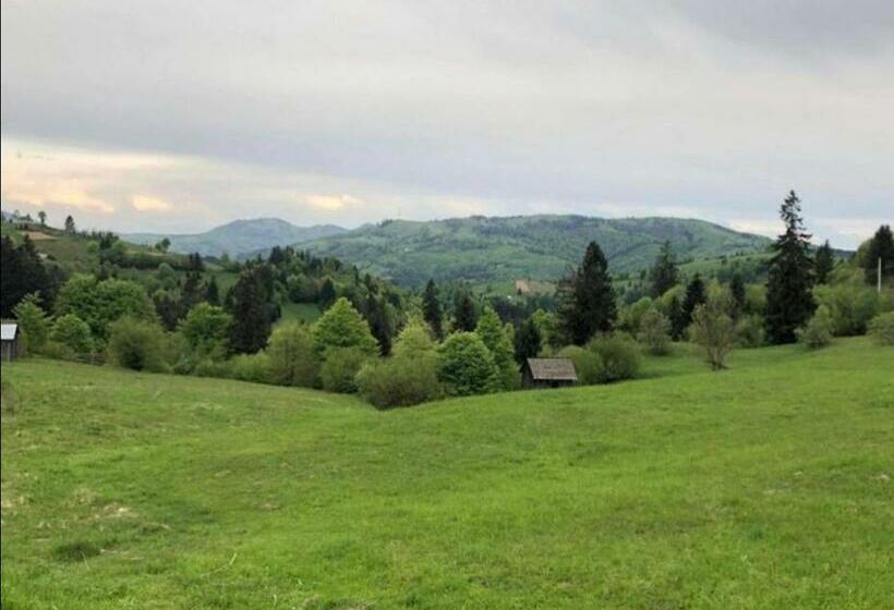 هتل Pensiunea Trei Lalele