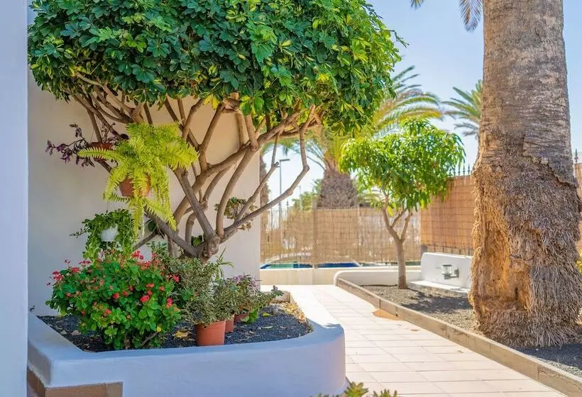 Apartamentos Isla De Lobos   Adults Only