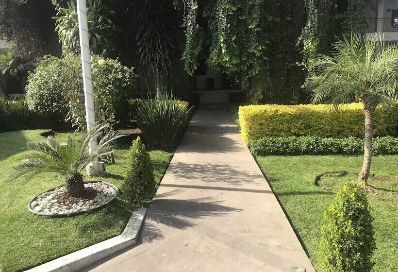 ホテル Ronda Minerva