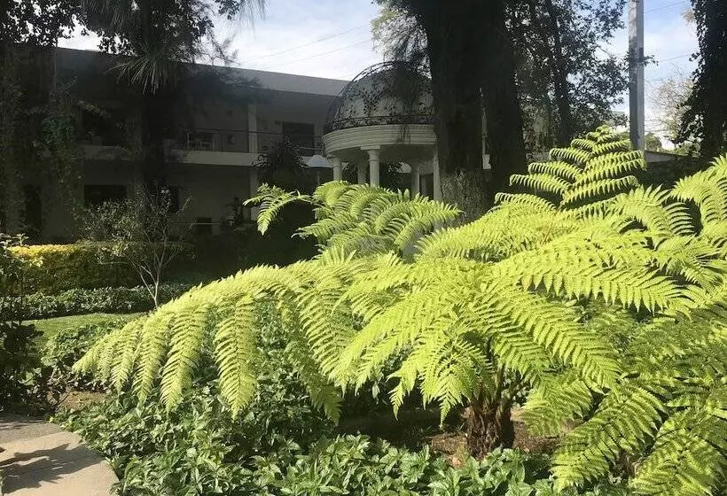 ホテル Ronda Minerva