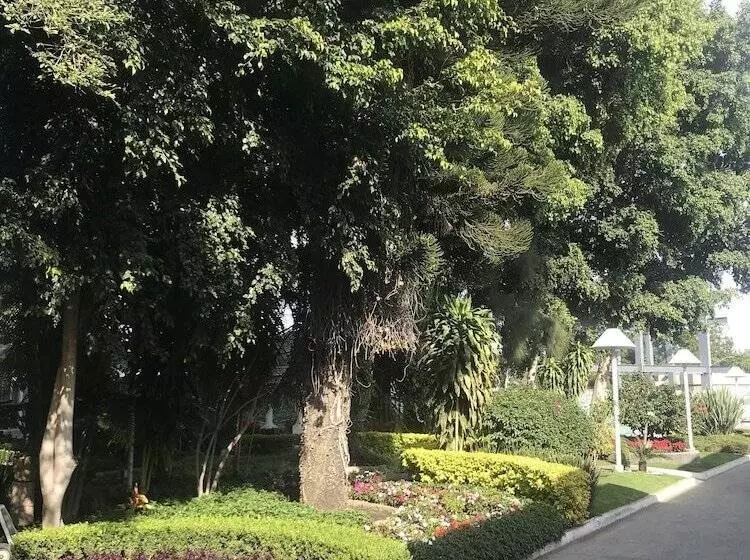 ホテル Ronda Minerva