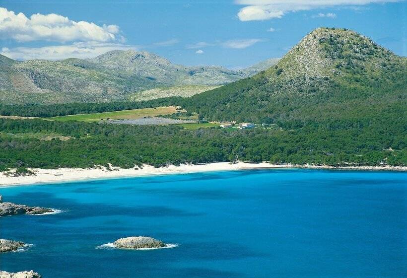 בית מלון כפרי Cases De Son Barbassa Hotel & Restaurant