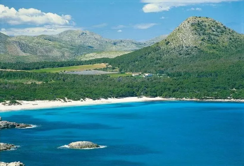 田舎風ホテル Cases De Son Barbassa Hotel & Restaurant