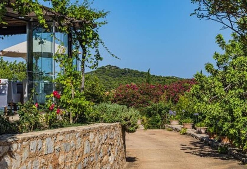 בית מלון כפרי Cases De Son Barbassa Hotel & Restaurant