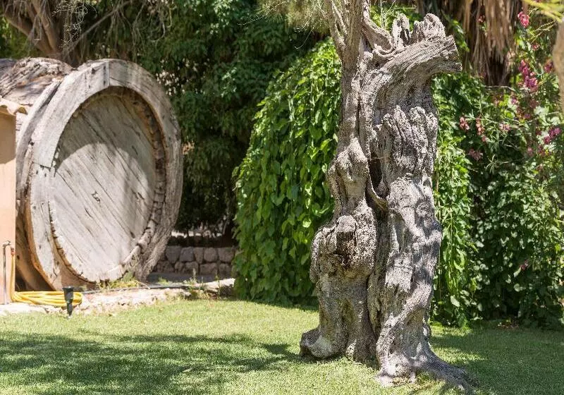 فندق ريفى Petit  Rural Son Jorda