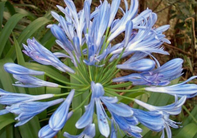 Отель Vila Ventura