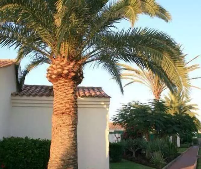 Bungalows Campo Golf