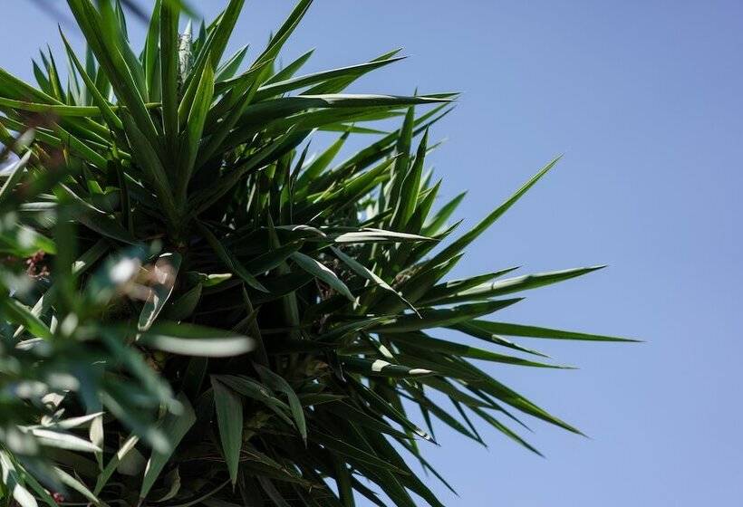 Hotel Costa Maya Bodrum