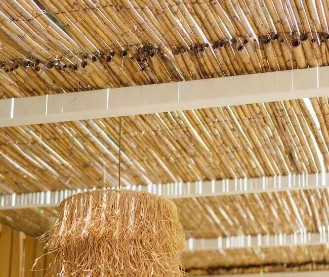 فندق Costa Maya Bodrum