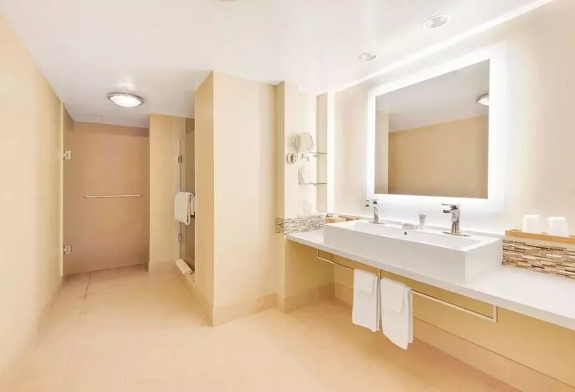 酒店 Eden Roc Miami Beach