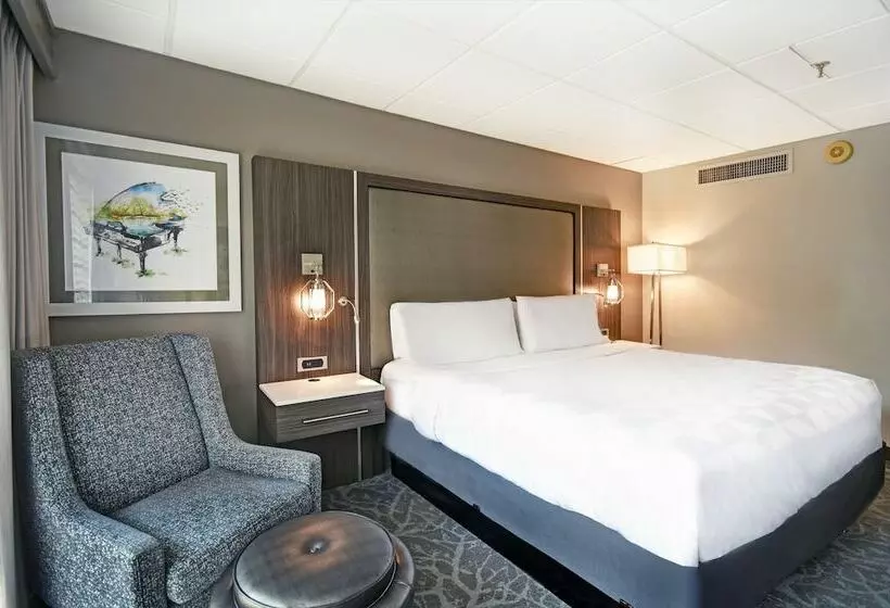 酒店 Holiday Inn Memphis Downtown Beale St., An Ihg