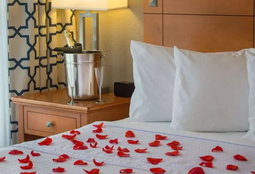 酒店 Homewood Suites By Hilton Orlando Int L Drive/convention Ctr