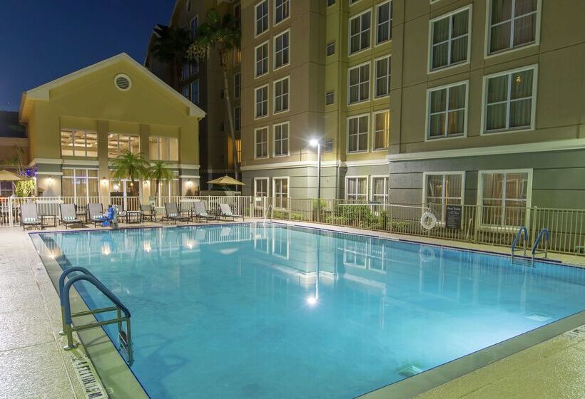 Hotel Homewood Suites By Hilton Orlando Int L Drive/convention Ctr