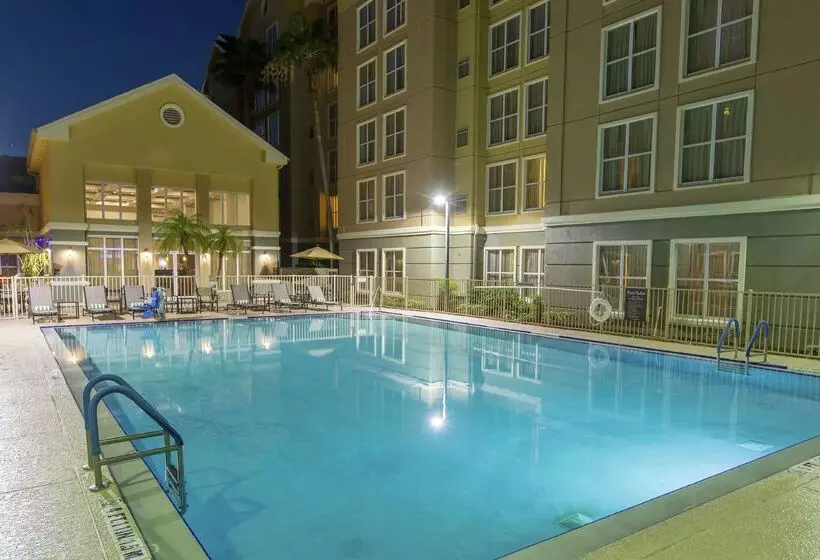 酒店 Homewood Suites By Hilton Orlando Int L Drive/convention Ctr
