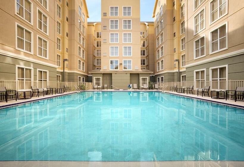 Hotel Homewood Suites By Hilton Orlando Int L Drive/convention Ctr