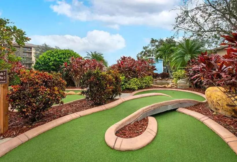 Отель Hilton Vacation Club Aqua Sol Orlando West