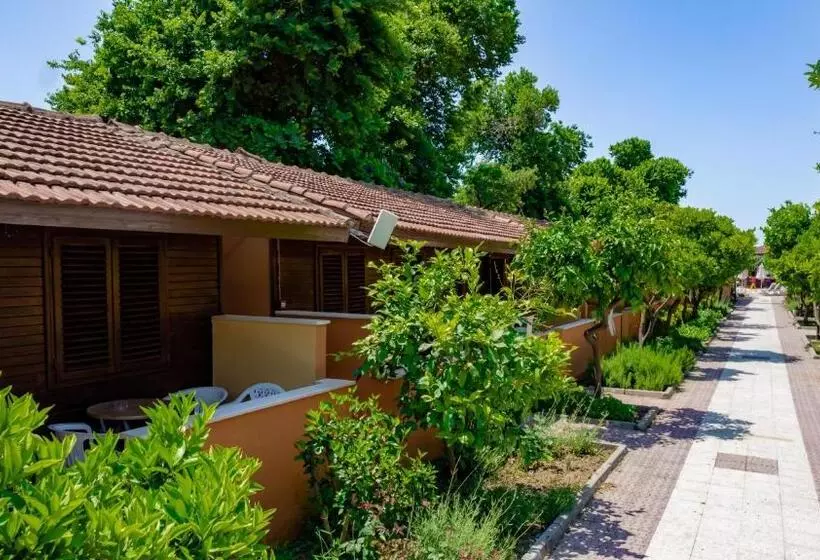 Отель Ozlem Garden