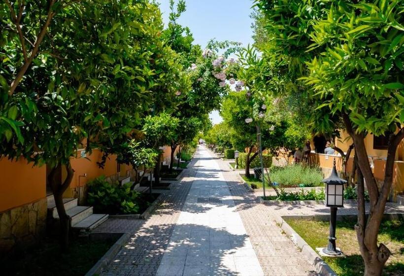 هتل Ozlem Garden