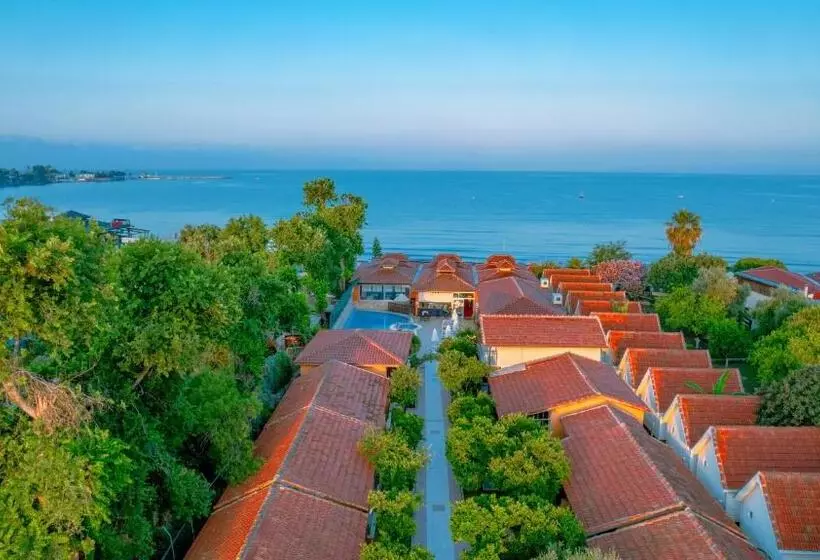 Отель Ozlem Garden