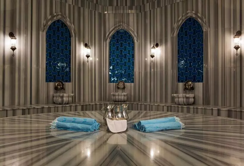 호텔 Papillon Ayscha Resort & Spa