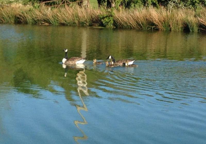 Acorn Court Country House