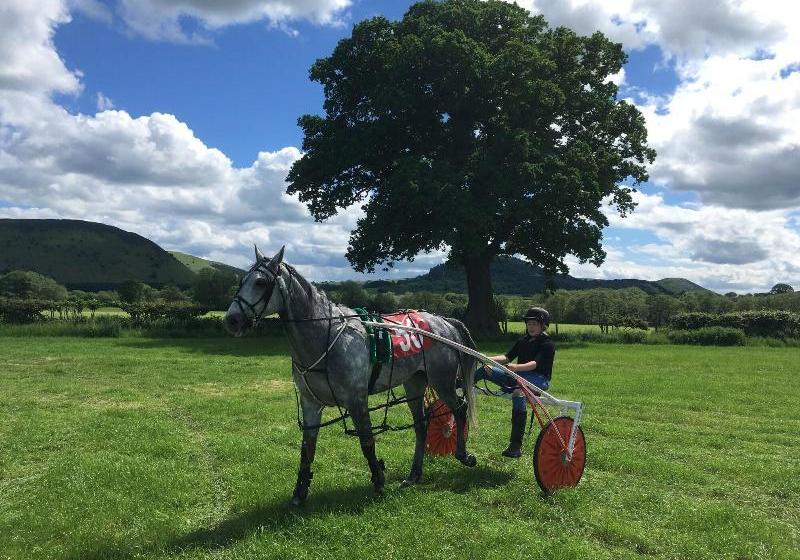 Acorn Court Country House
