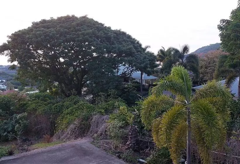 Aamiaismajoitus (B&B) Kona Palace In Captain Cook